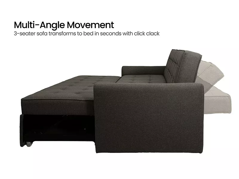 Zenith Sofa Cum Bed in Dark Grey